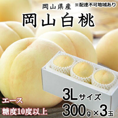 【ふるさと納税】桃 2026年 先行予約 岡山 白桃 エース 3玉×約300g（3Lサイズ） JAおかやまのもも（早生種・中生種） もも モモ 岡山県産 国産 フルーツ 果物 ギフト 　お届け：2026年7月上旬〜2026年8月中旬