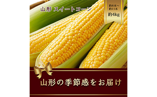 
            山形県産 スイートコーン 約8本～約11本 約4kg 【2025年8月から発送】  とうきび トウキビ とうもろこし トウモロコシ コーン 野菜 食品 山形県 FSY-1183
          