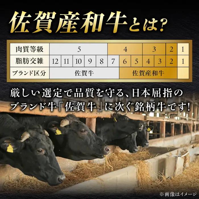 【全12回定期便】佐賀産和牛 牛タンしゃぶしゃぶセット 500g 計6kg 和牛 牛肉 牛たん たん 鍋 年末 肉 佐賀 吉野ヶ里町/やきとり紋次郎[FCJ061]