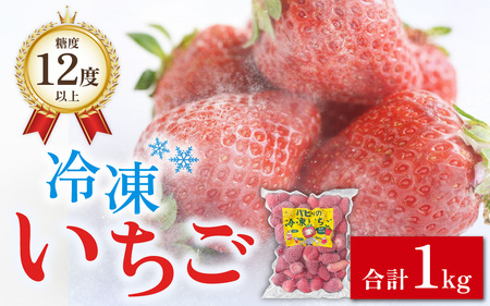 いちご農園のブランド苺【リッチゴ】(冷凍いちご×1kg)