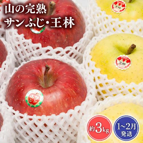 【2027年1～2月発送】 吹田りんご園　山の完熟サンふじ・王林約3kg【吹田りんご園・青森りんご・平川市広船産・1月・2月】