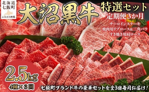定期便セット定期3カ月　大沼黒牛の特選セット 【 ふるさと納税 人気 おすすめ ランキング 北海道ブランド牛 大沼黒牛 黒毛和牛 サーロイン リブロース 焼肉 肩ロース おいしい 北海道 七飯町 送料無料 】 NAM059