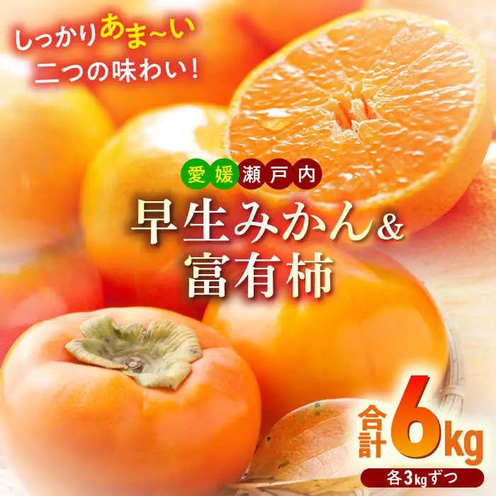 早生みかん＋富有柿（各3kg） 富有柿 みかん【11月上旬より順次発送】[AGBN019]