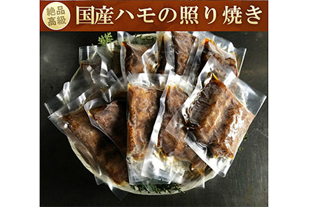  鱧の照り焼き(100g×10切れ)【冷凍】【B-28】