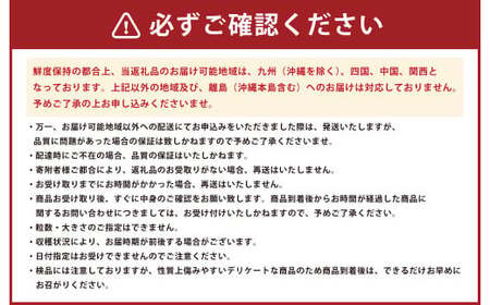熊本県産みはや 約5キロ 【2025年12月上旬発送開始】 果物 柑橘類 蜜柑