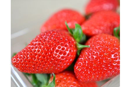 秩父のやよいひめ　4パック No.214