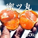 【ふるさと納税】こだわり蜜柑 蜜ツ丸 厳選プレミアム レギュラー箱 約5kg みかん ミカン mikan 柑橘 柑橘類 フルーツ 果物 詰め合わせ 愛知県 豊橋市 24000円