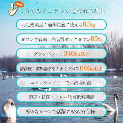ふるさと納税 筑後市 羽毛シュラフ×ダウンケット×ボルスタークッション3WAY寝袋 ダウン85% 軽量タイプ0.3kg |  | 02