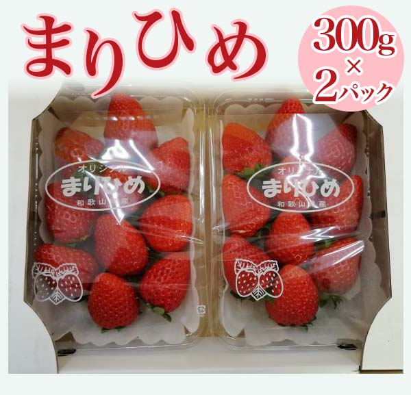 【2024年1月中旬～発送】「まりひめ」和歌山県オリジナルいちご　約300g×2パック入 ※北海道・沖縄・離島への配送不可