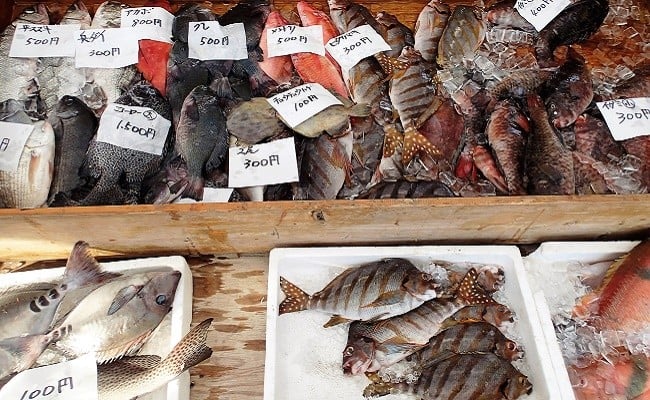 漁港直送！四万十町産の天然伊勢海老1～2匹（計600ｇ）／Dns-12