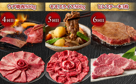 【6か月定期便】宮崎牛プレミアム定期便 牛肉 肉 肩ロース モモ スライス ロース ロースステーキ ステーキ ウデ 焼肉 ヒレ ヒレステーキ 宮崎牛 赤身 霜降り 料理 アウトドア キャンプ バーベキ