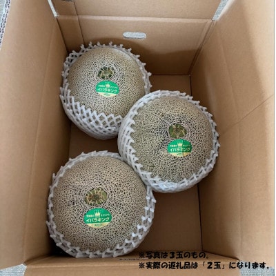 茨城県産メロン 茨城県オリジナル品種 イバラキング 2玉(3L)2026年5月下旬順次発送予定【配送不可地域：離島・沖縄県】【1701968】