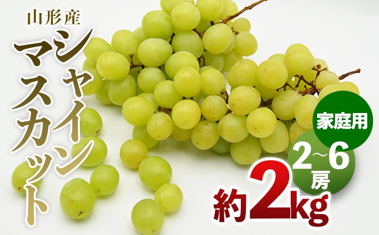 
【ご家庭用】山形のシャインマスカット 優品 約2kg(2～6房) 【令和6年産先行予約】FU21-648 フルーツ くだもの 果物 山形 山形県 山形市 ぶどう 葡萄 ブドウ 訳あり 2024年産
