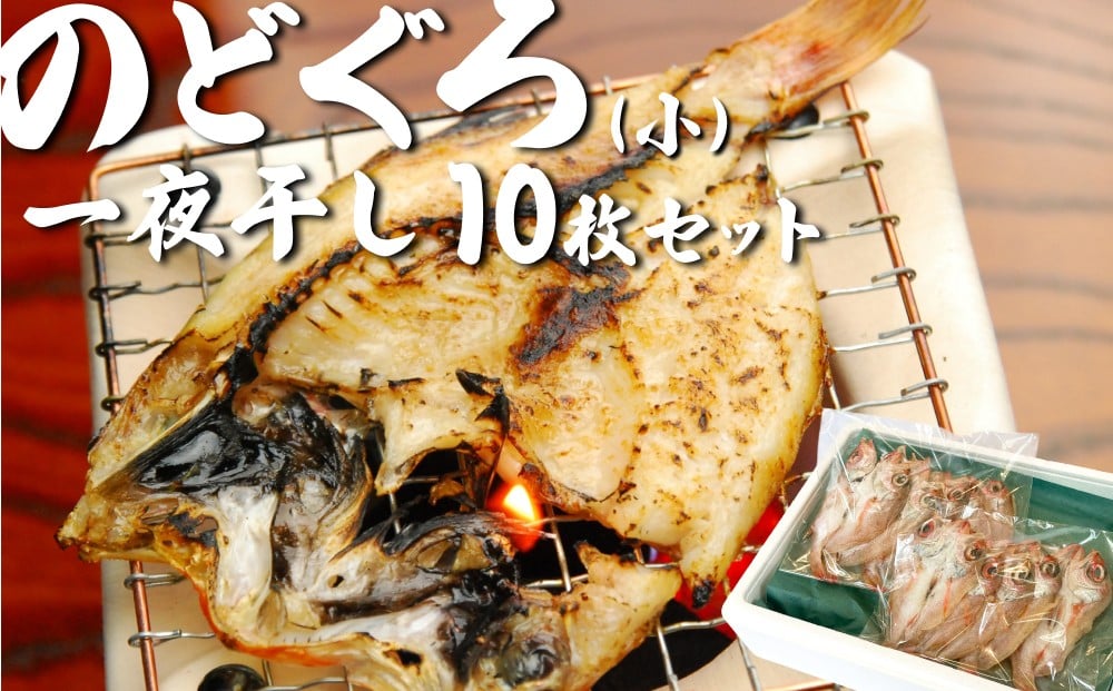 
                  のどぐろ一夜干し 10枚｜鳥取 岩美 日本海 干物 海産物 ひもの ノドグロ【24033】
                