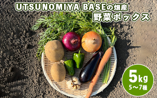 
UTSUNOMIYA BASEの畑産野菜ボックス 5kg
※着日指定不可
