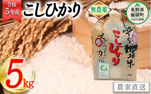 米 無農薬栽培 こしひかり 5kg ( 令和5年産 ) 特別栽培米 なかまた農園 2023年10月上旬頃から順次発送予定 コシヒカリ 白米 精米 お米 無農薬 数量限定 信州 30000円 予約 農家直送 長野県 飯綱町 [1184]