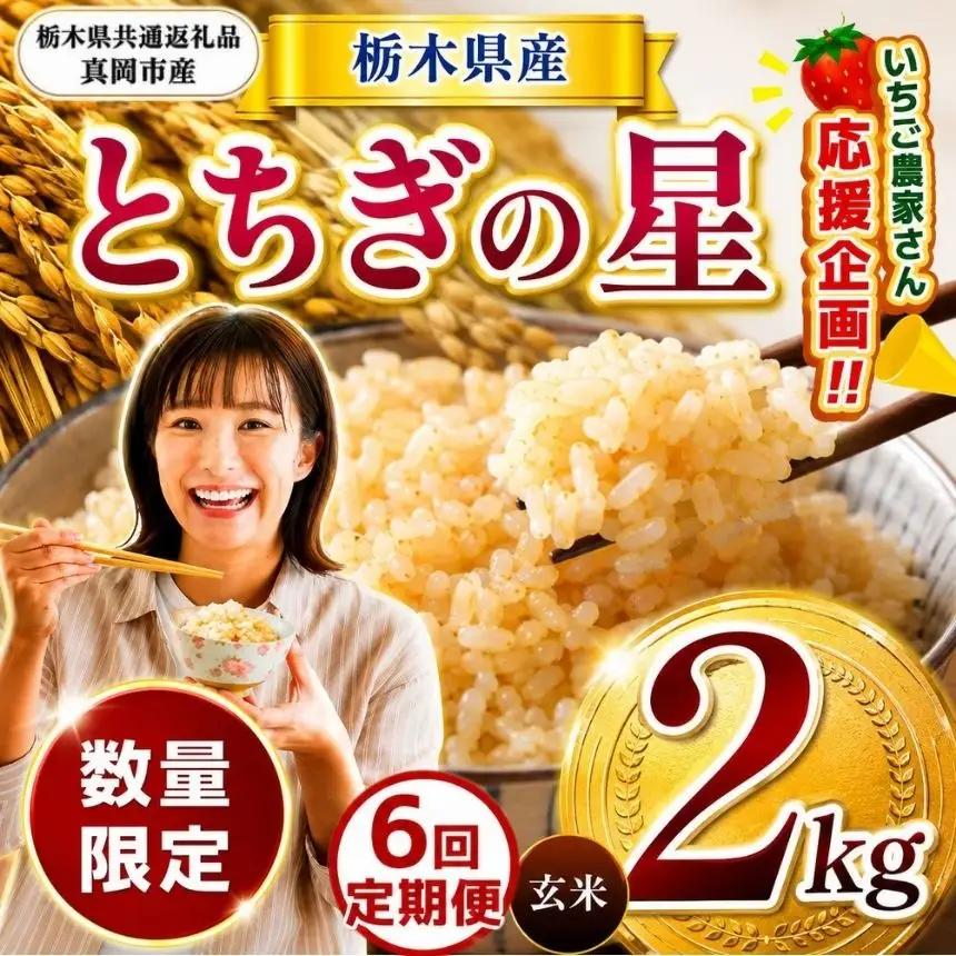 【定期６回】先行予約【令和8年度産】栃木県産とちぎの星 2kg | 【栃木県共通返礼品】 