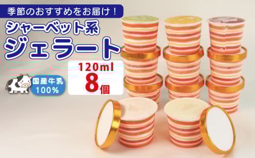 ジェラート  詰め合わせ 120ml 選べる 個数 8個  シャーベット系 のみ  冷凍 フルーツ ギフト プレゼント 贈答 お取り寄せ グルメ 季節限定 冷凍 徳島県 吉野川市 株式会社マイスター社