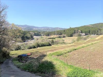 【手作り雑貨屋 木心工房】木の鏡餅（大）