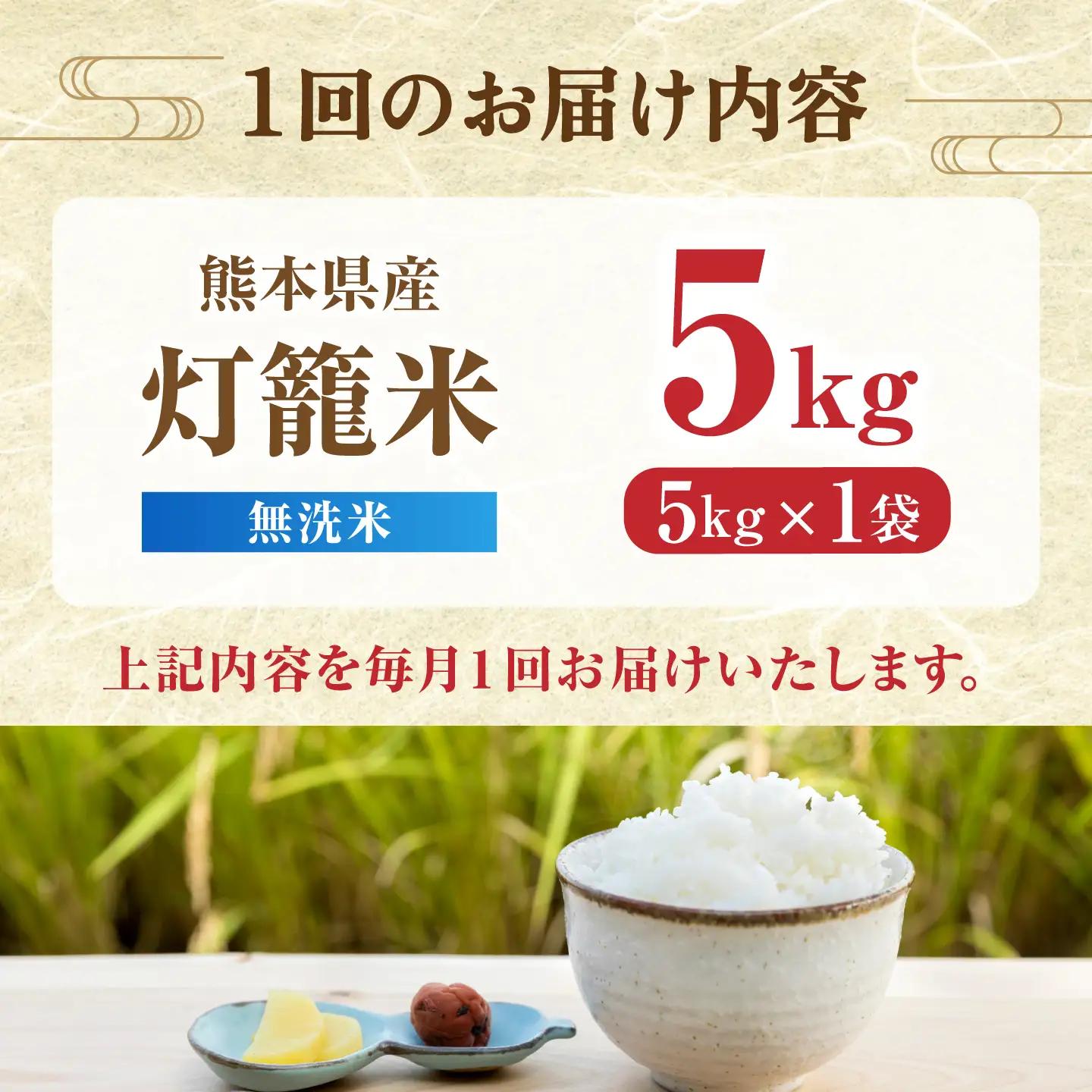 【先行予約】【全12回定期便】無洗米 灯籠米 5kg 令和8年産 熊本県産米 ブレンド米 送料無料 お米 国産 農家応援 【株式会社 農産ベストパートナー】[ZBP172]