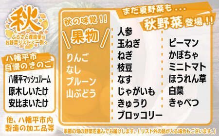 【旬野菜お届け】八幡平のふるさと産直箱（小）【2ヶ月おき／計4回】 ／ 産地直送 新鮮 野菜 【あすぴーて】
