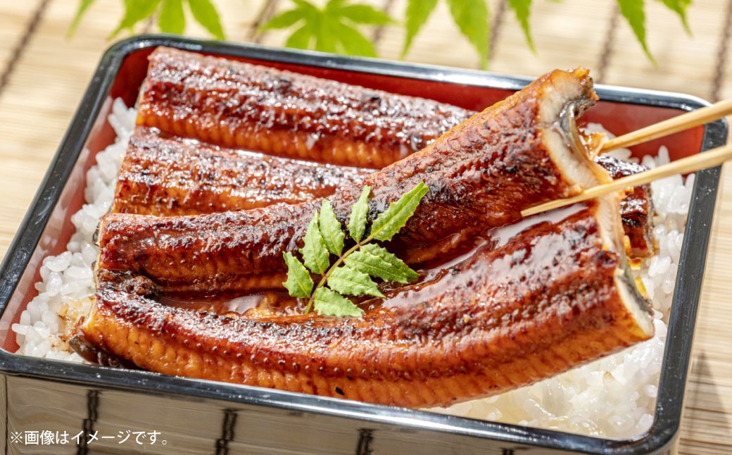 
                  めぐみうなぎ 蒲焼き 6尾 セット うなぎ 鰻 ウナギ 魚類 うな重 うな丼 晩ごはん 惣菜 おかず 贅沢 冷凍 国産 大阪府産 養殖 無投薬 【 2026年6月下旬～7月上旬発送予定 】
                
