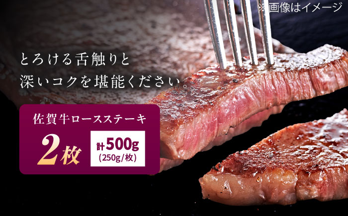 佐賀牛 ロースステーキ 500g （250g×2枚） / 牛肉 / 佐賀県 / 織田精肉店 [41ADAB002]