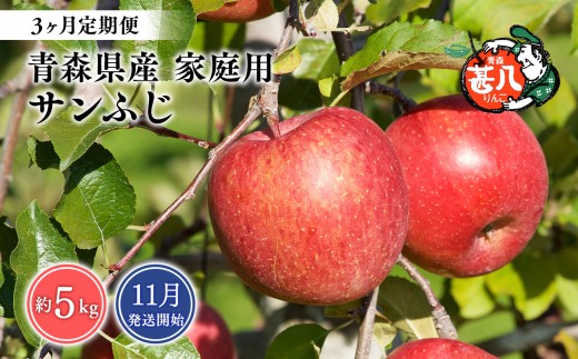 
                  【2026年11月発送開始】青森県産 サンふじ りんご 家庭用 約5kg 3ヶ月定期便 青森りんご 林檎 フルーツ 平川市【hi-0058-170】
                