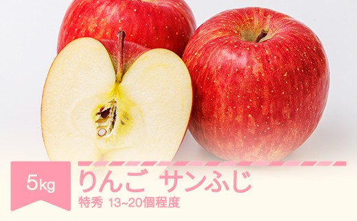 令和8年産 りんご サンふじ 特秀品 約5kg (13~20個程度)  yi-risft5000