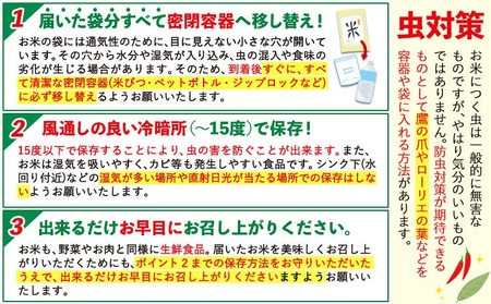 【3ヶ月定期便】令和6年産 定期便 こしひかり 5kg 無洗米 阿蘇 うぶやま 米 定期便 熊本県産 ふるさと納税 精米 ひの 米 こめ ふるさとのうぜい コシヒカリ コメ お米 おこめ《申込み翌月か