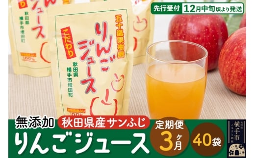 《定期便3ヶ月》 無添加りんごジュース（サンふじ）40パック