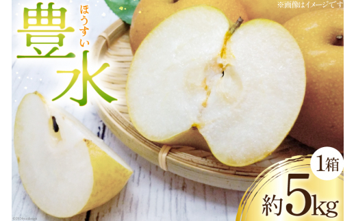 梨 豊水 1箱 約 5kg [坂本哲男 徳島県 北島町 29ay0001] 果物 フルーツ なし ナシ 旬 5キロ