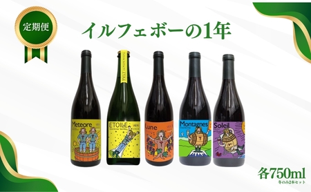 【定期便 4回】ワイン 計5種 季節ごとにお届け｜ ワイン