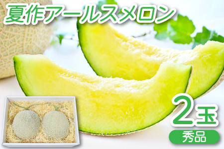 B-13 アールスメロン　秀品　2玉【夏作】【メロン 2玉 先行予約 果物 くだもの フルーツ アールスメロン 糖度14度以上 青肉 期間限定 季節限定 早期予約】