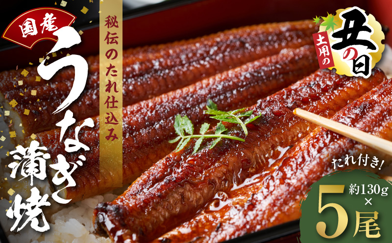 【土用の丑の日までにお届け】国産うなぎ 約130g×5尾【高評価 特製タレ付 蒲焼 鰻 ウナギ 無頭 炭火焼き 備長炭 手焼き レンジ 温めるだけ 簡単調理 大阪 泉佐野 大阪府 泉佐野市】