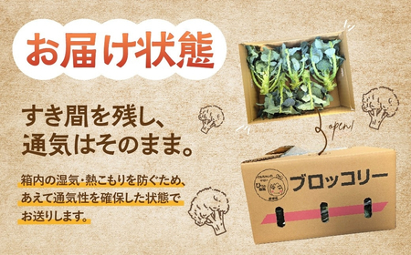 ブロッコリー 5本 豊橋 国産 ミネラルたっぷり 海風そだち 潮風 家族で 大容量 豊橋 ともちゃんのやさい 直売所で大人気！ 愛知県 豊橋市 安心野菜