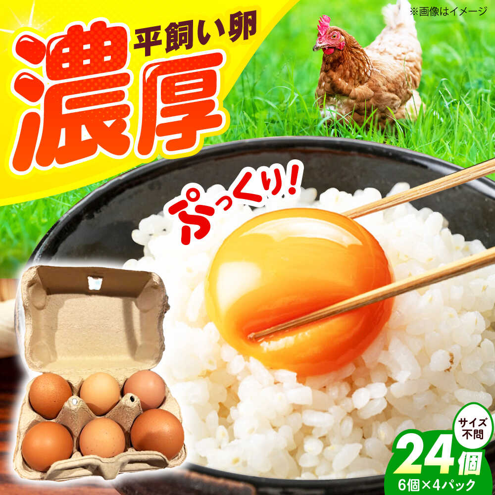【ふるさと納税】平飼い卵 24個セット たまご 卵 鶏卵 玉子 平飼い タマゴ 新鮮 生卵 小分け 直送 冷蔵 朝食 人気 料理 卵かけご飯 オムレツ 卵料理 おいしい 美味しい 卵焼き 産地直送 国産 大阪 高槻 たまご焼き 送料無料 たまごかけ 大阪府高槻市/ベジ彩ファーム[AOEJ003]