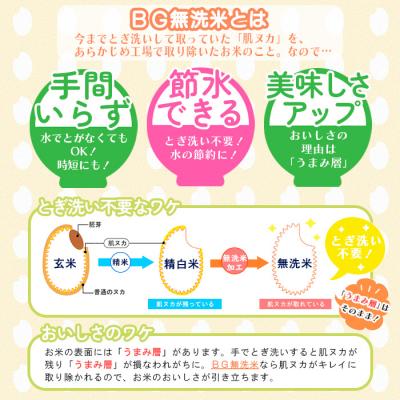 ふるさと納税 山形市 山形産 つや姫・雪若丸【無洗米】10kg(各5kg) FY25-465 |  | 01