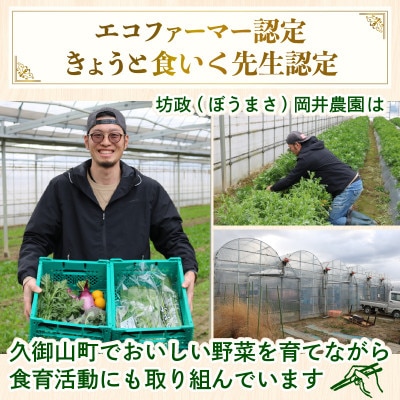 【毎月定期便】【訳あり】季節の野菜セット4～6品　京都府久御山町産全6回【配送不可地域：離島】