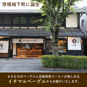 プレーンベーグル 12個 プレーン ベーグル パン