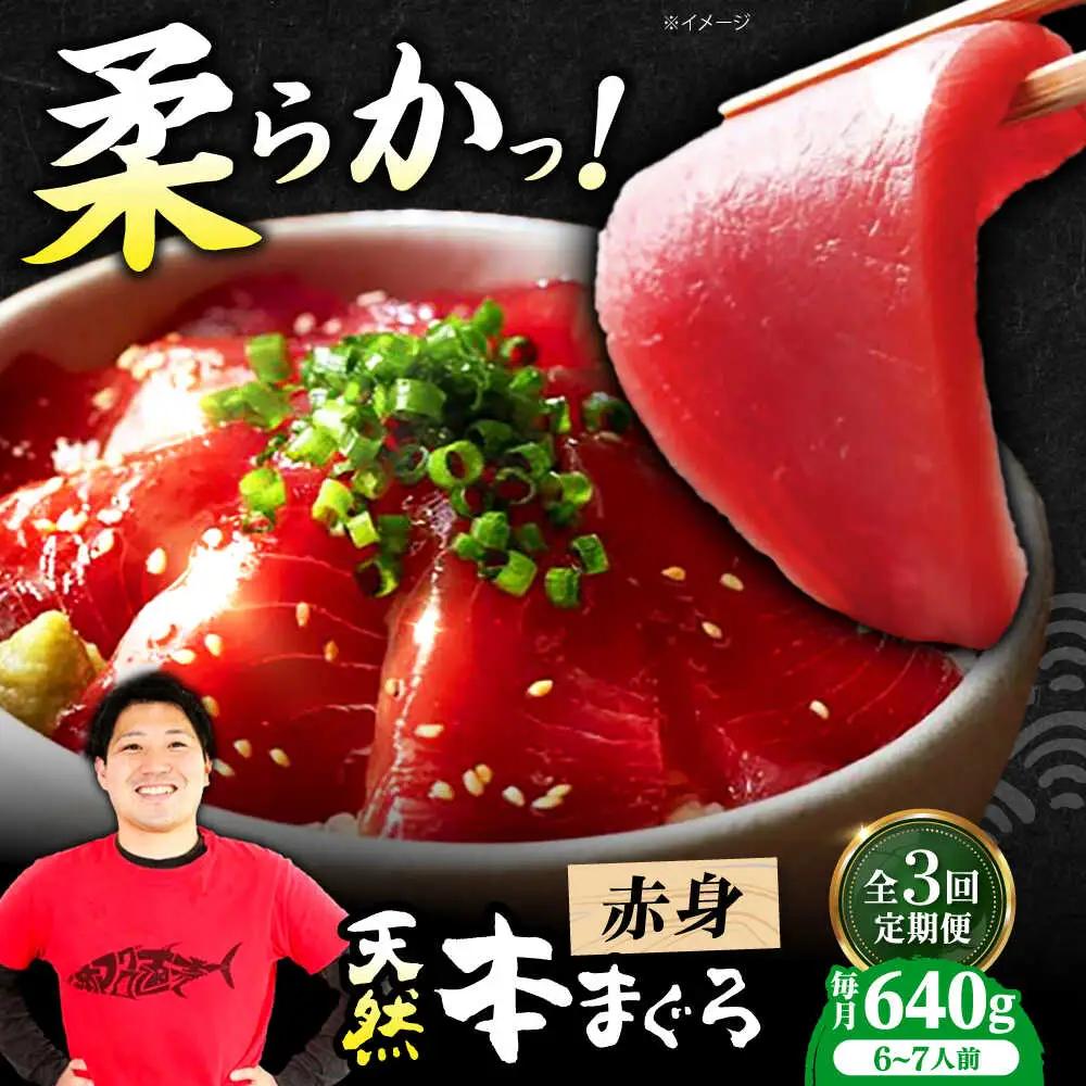 【全3回定期便】たね熟天然本まぐろ赤身(640g)[AOCE016]マグロ