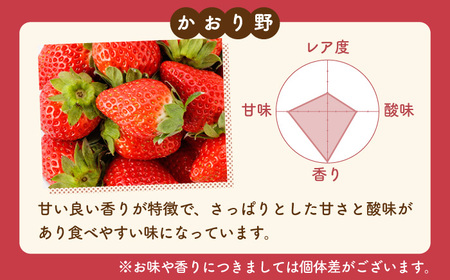 【R8年1月以降発送】【全4回定期便】3種の食べ比べ定期便(3)  【StrawberryFarm-K】[IBJ032]