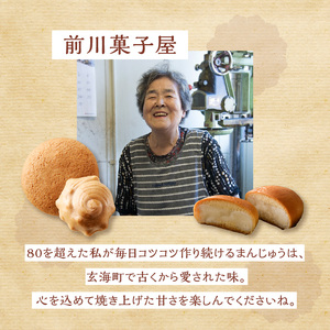 前川菓子屋のしっとりさざえもなか（20個入り）