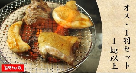 地鶏 1羽セット オス 1㎏以上 モモ肉 むね肉 ササミ肉 各2枚 地鶏【frsn0005】