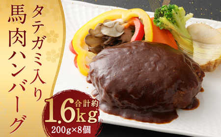 FN タテガミ 入り 馬肉 ハンバーグ (デミソース) 8個 セット