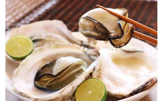 【期間限定発送】岩牡蠣 殻付き 細島 岩ガキ 約3.5kg [道の駅日向 宮崎県 日向市 452060570] いわがき 岩がき 牡蠣 日豊海岸 濃厚 クリーミー