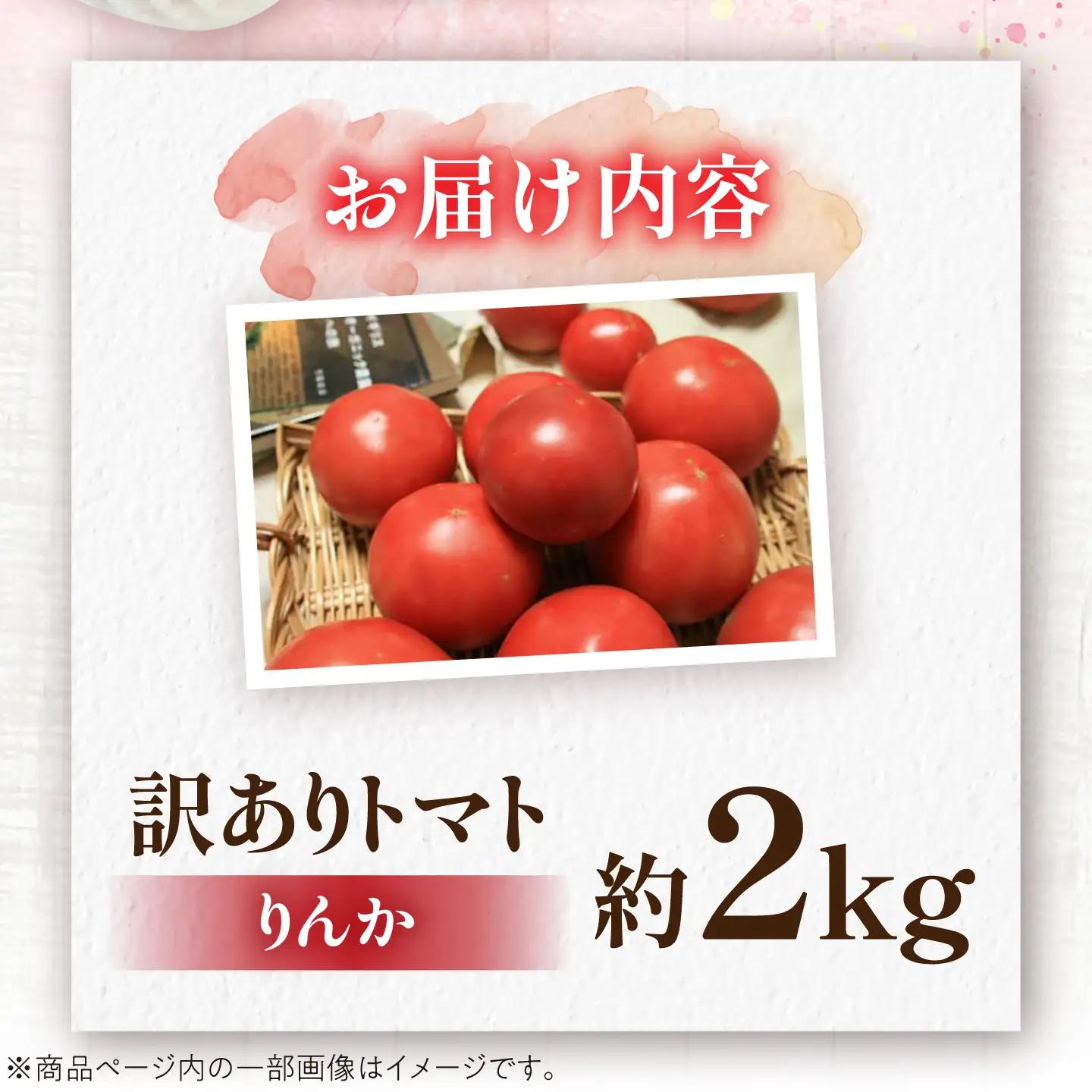 【先行予約】訳ありトマト 約2キロ / 馥郁農園[AUCK013] トマト