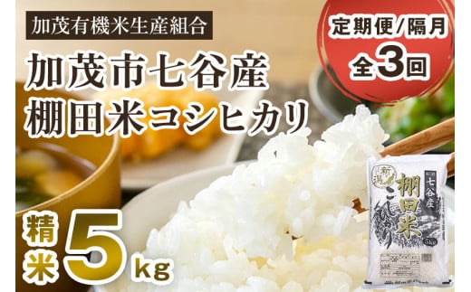 【令和7年産新米先行予約】【定期便3回隔月お届け】七谷産 棚田米コシヒカリ 精米 5kg《10月中旬から順次出荷》 白米 加茂有機米生産組合 新潟県 加茂市産 白米 米 お米 定期便