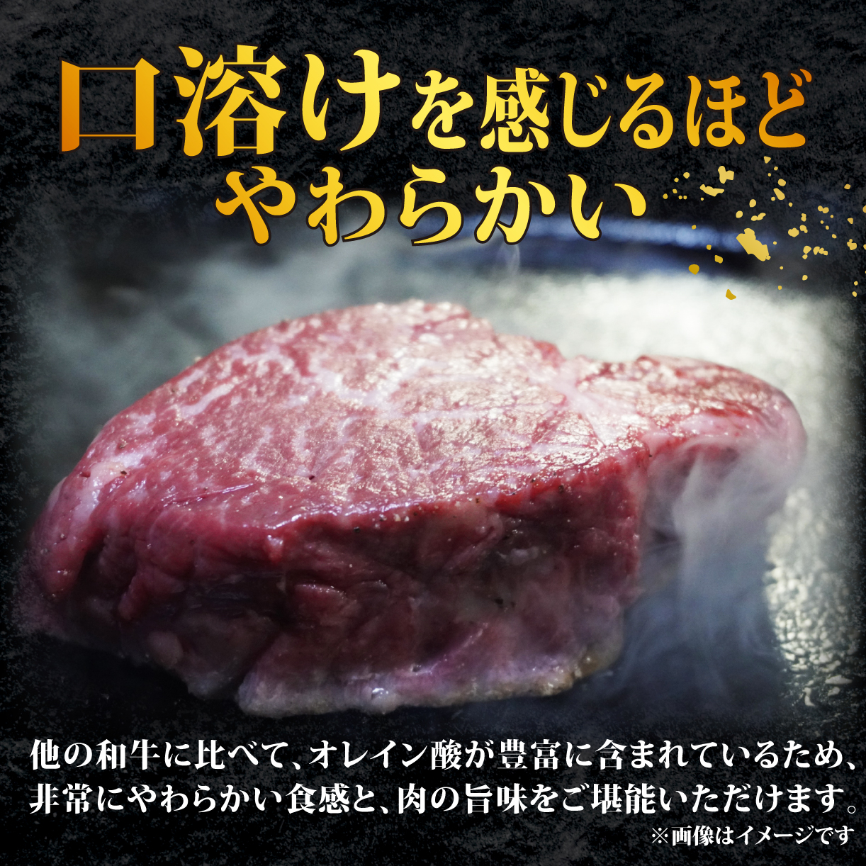 牛肉 ヒレ 大和牛 ヒレステーキ 用 160g×3枚 大和牛専門店 一 31-001