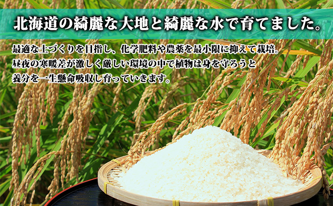 【北海道富良野産】ゆめぴりか 10kg  (お米 米 ご飯 ごはん 白米 定期 送料無料 北海道 富良野市 道産 直送 ふらの)